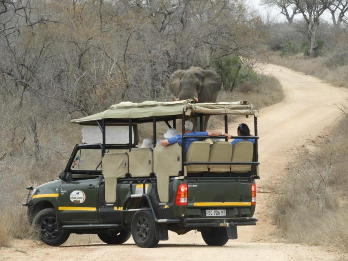 Bongan Safari Lodge Mbabat Kültér fotó