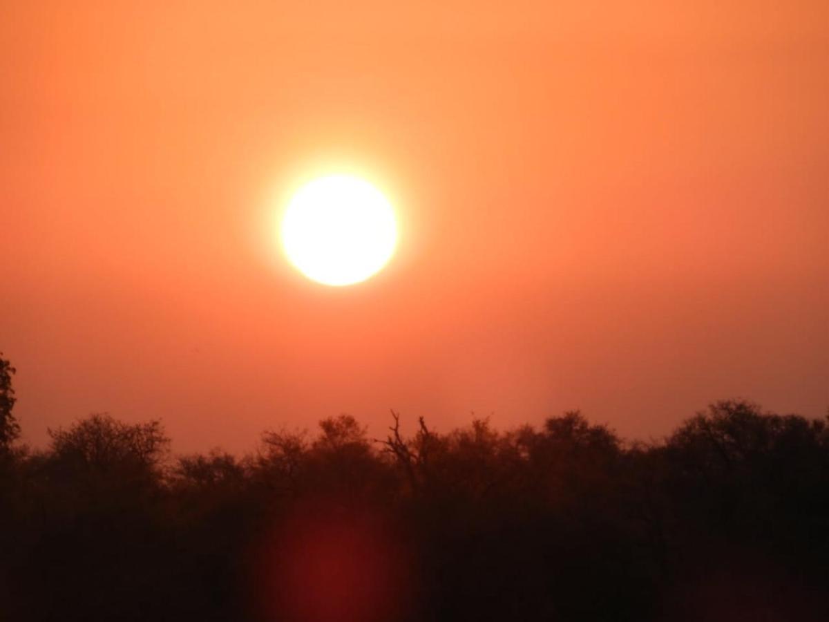 Bongan Safari Lodge Mbabat Kültér fotó