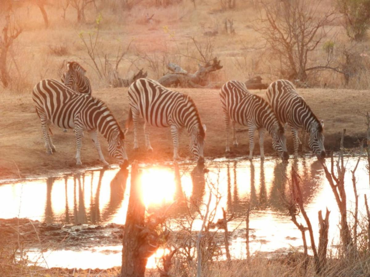 Bongan Safari Lodge Mbabat Kültér fotó